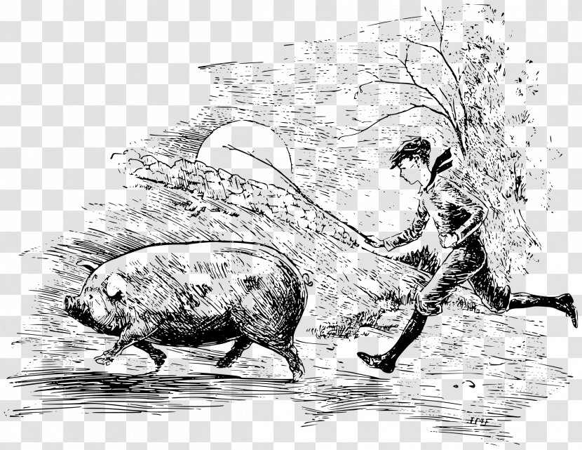 Pig Cartoon - Drawing - Working Animal Ox Transparent PNG