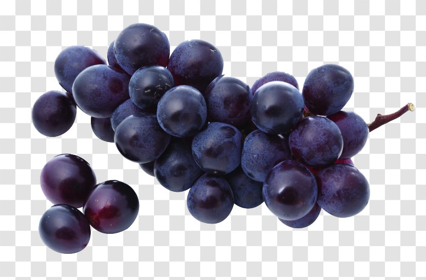 Food Grape Fruit Vegetable Purple - Seed Extract - Bunch Of Grapes Transparent PNG