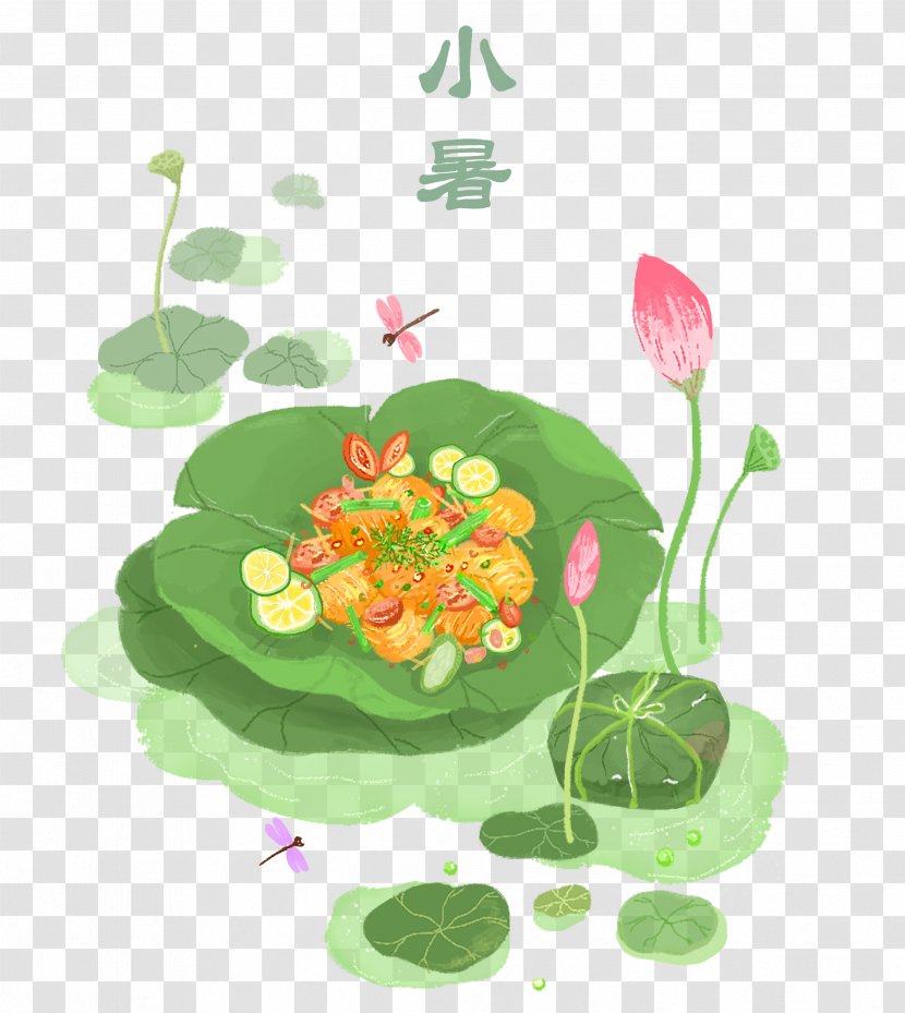 Green Leaf Plant Flower Vegetarian Food - Perennial Water Lily Transparent PNG