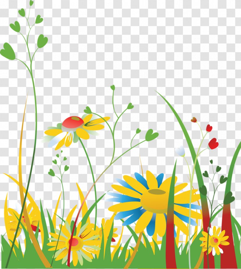 Floral Design Meadow - Wildflower Transparent PNG
