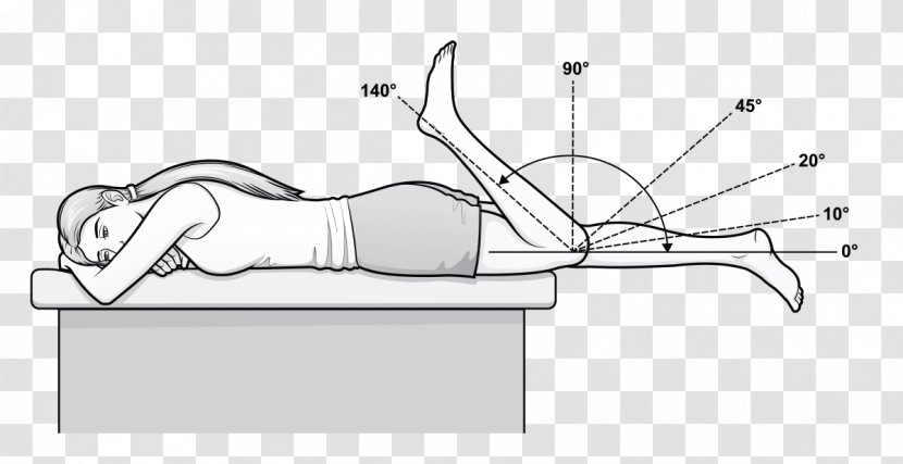 Range Of Motion Knee Pain Goniometer Flexie - Hand - Point Transparent PNG