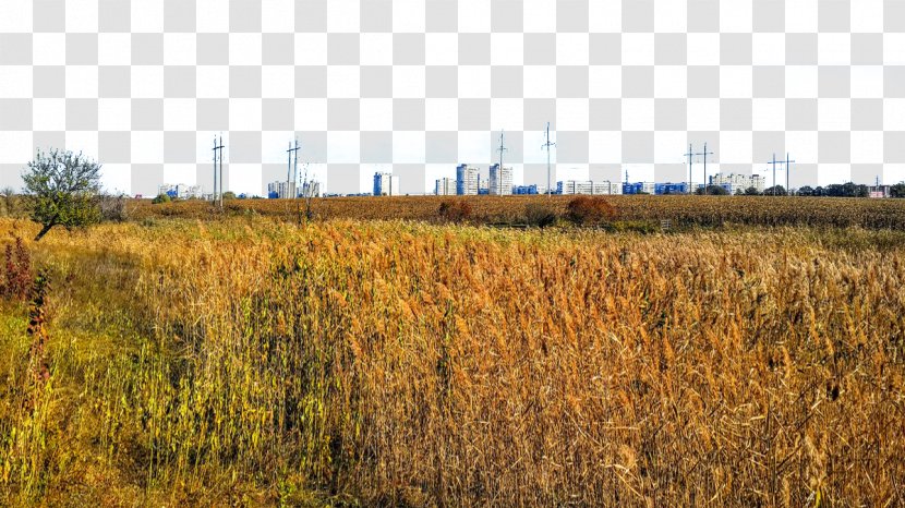 Ukraine Download - Town Autumn Transparent PNG