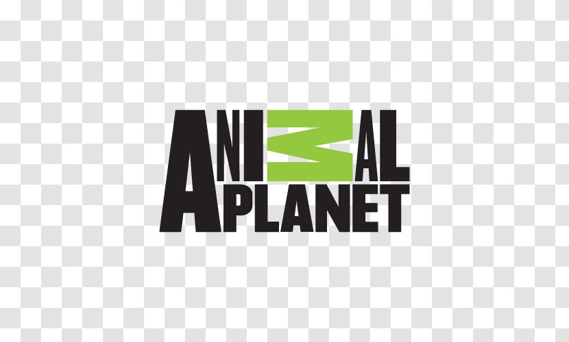 Animal Planet Cat Veterinarian Logo Film Transparent PNG