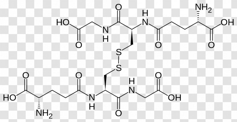 Glutathione Disulfide Peroxidase - Heart - Gluta Transparent PNG