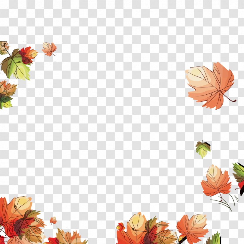 Maple Leaves Autumn Leaf Image - Petal - Pattern Transparent PNG
