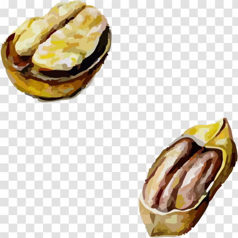 English Walnut Pistachio Food - Nut - Nuts Transparent PNG