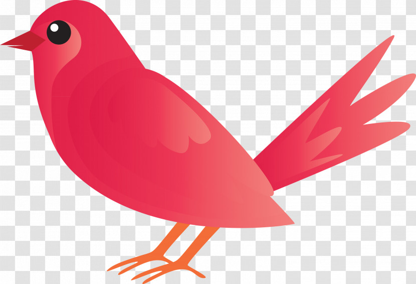 Bird Beak Red Cardinal Songbird Transparent PNG