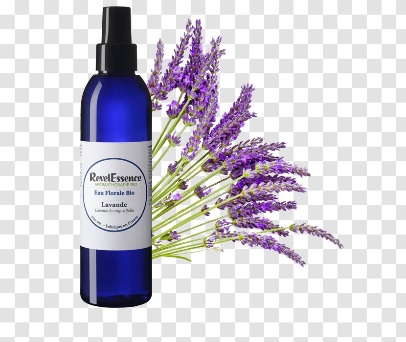 English Lavender Oil Essential Provence - Liquid Transparent PNG