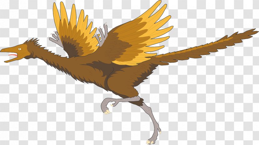 Archaeopteryx: The First Bird Dinosaur Clip Art - Wildlife Transparent PNG