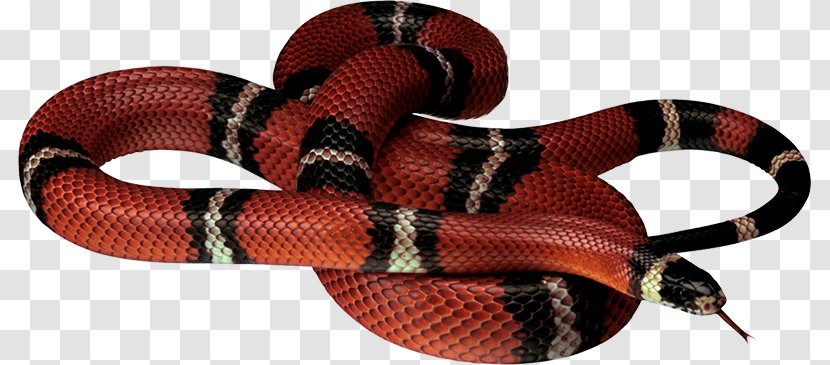 Corn Snake King Cobra Reptile - Reddish Brown With A Pattern Of Snake's Tongue Transparent PNG