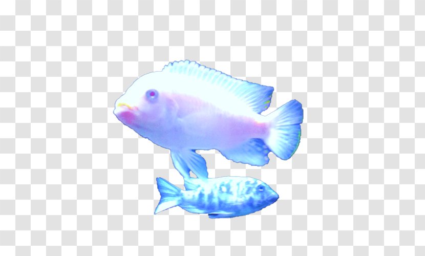 Goldfish Marine Biology Mammal - Dead Fish Transparent PNG