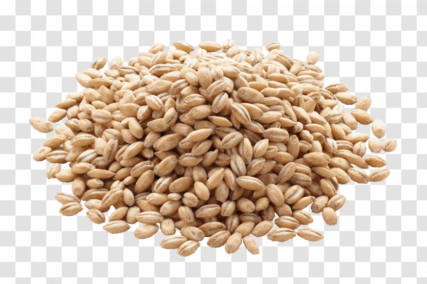 Barley Organic Food Cereal Whole Grain Rice - Cooking - Image Transparent PNG