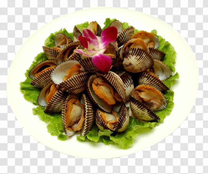 Cockle Clam Seafood Oyster Mussel - Umami - Ginger Hair Clams Transparent PNG