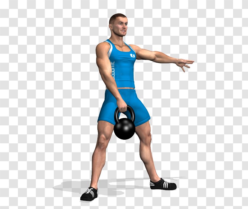 Kettlebell Squat Physical Fitness Exercise Gluteal Muscles - Tree - Kettlebells Transparent PNG