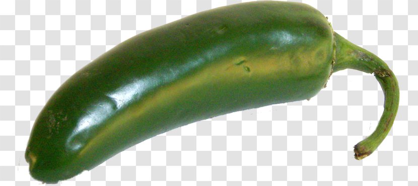 Serrano Pepper Jalapeño Poblano Pasilla Cayenne - Food - Jalapeno Poppers Transparent PNG