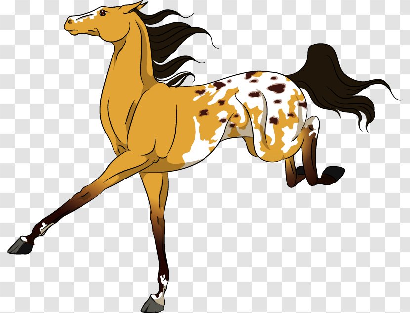 Mustang Foal Stallion Colt Pony - Horse Tack Transparent PNG