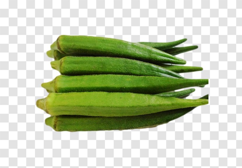 Okra Ladyfinger Vegetable Green Bean Ghormeh Sabzi - Coriander Transparent PNG