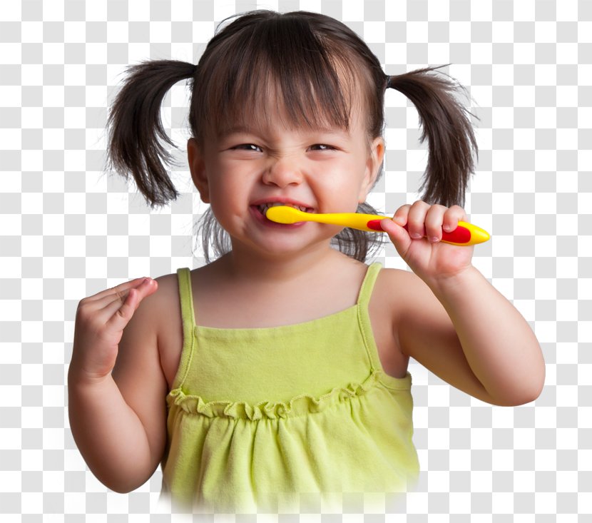 Tooth Brushing Pediatric Dentistry Human Child - Brush Transparent PNG