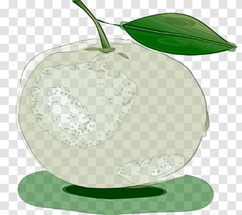 Leaf Green Fruit Plant Tree Transparent PNG