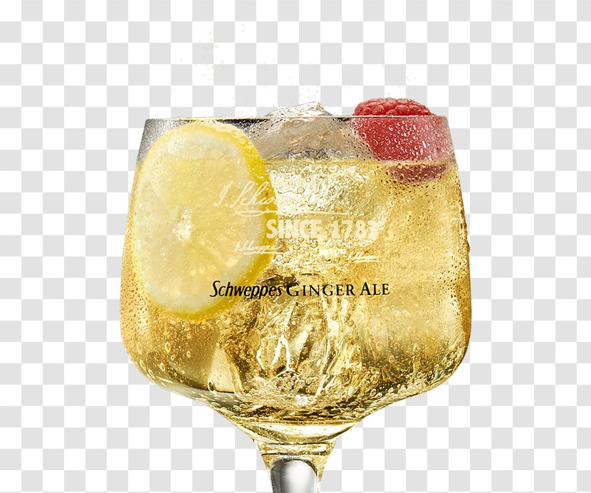 Ginger Ale Cocktail Garnish Gin And Tonic Schweppes - Whiskey Transparent PNG