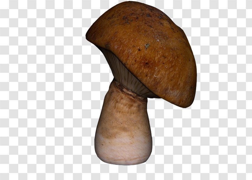Pleurotus Eryngii Mushroom Icon - Pictures Transparent PNG