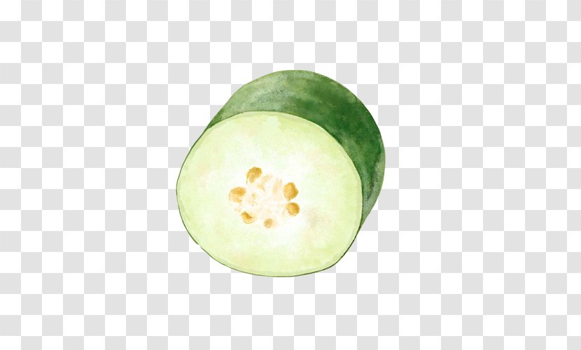 Wax Gourd U51cfu80a5 Food Melon - Fruit - Hand Painting Material Picture Transparent PNG