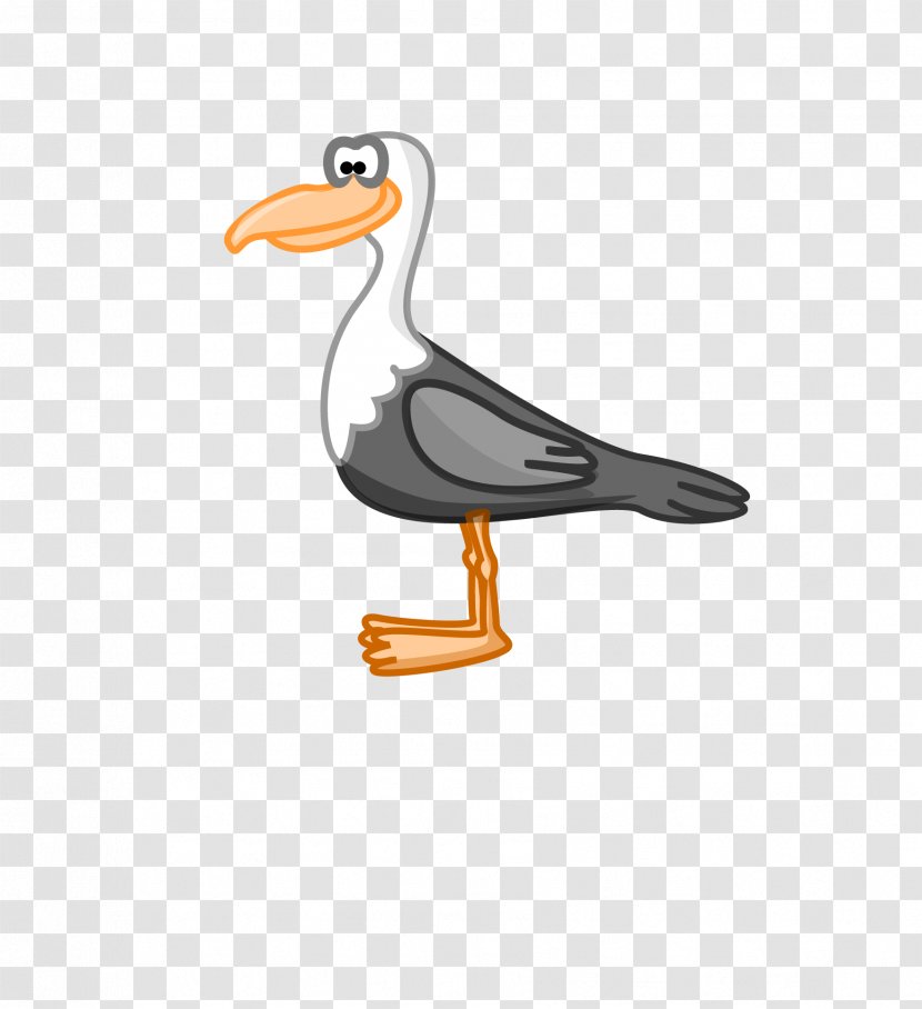 Cartoon Duck Bird Euclidean Vector Download - Gulls - Flying Silhouette Transparent PNG