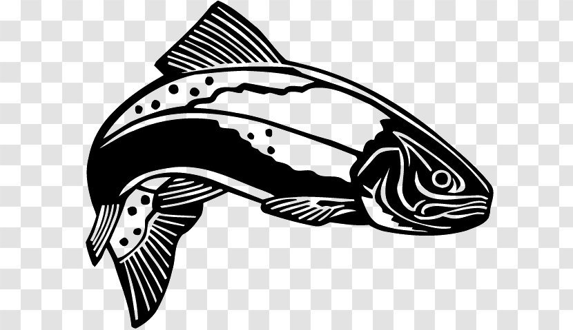 Rainbow Trout Clip Art - Black And White - Spotted Seatrout Transparent PNG