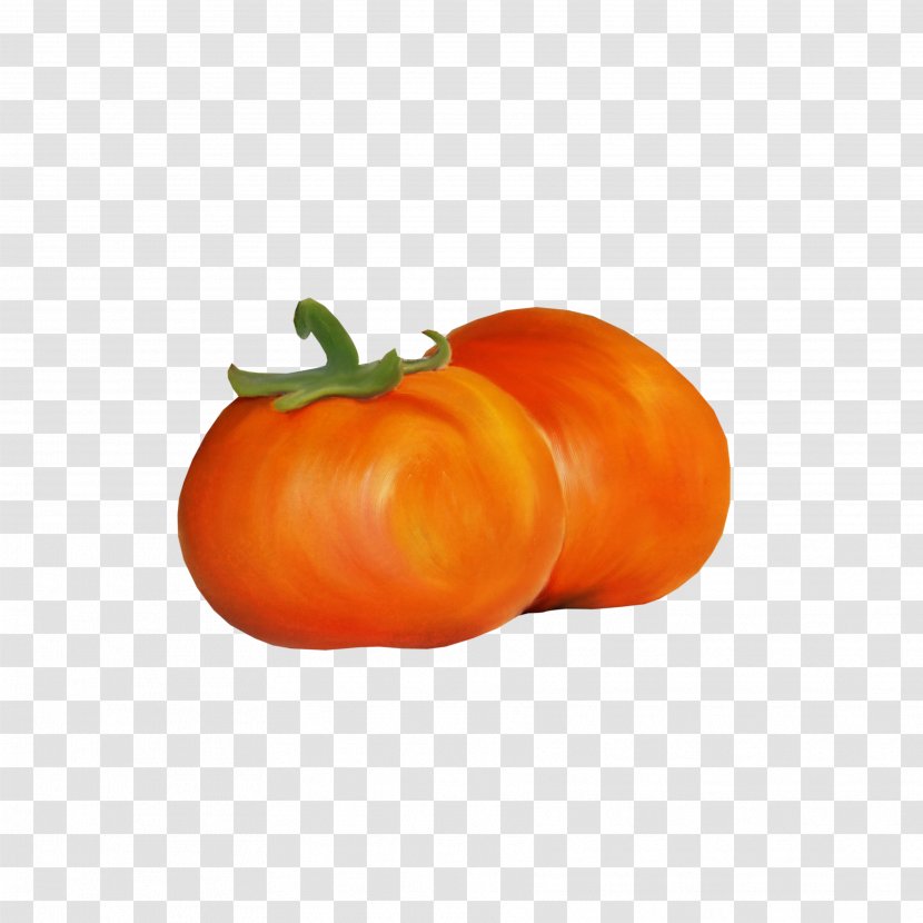 Orange Pumpkin Gratis - Material Free To Pull Transparent PNG