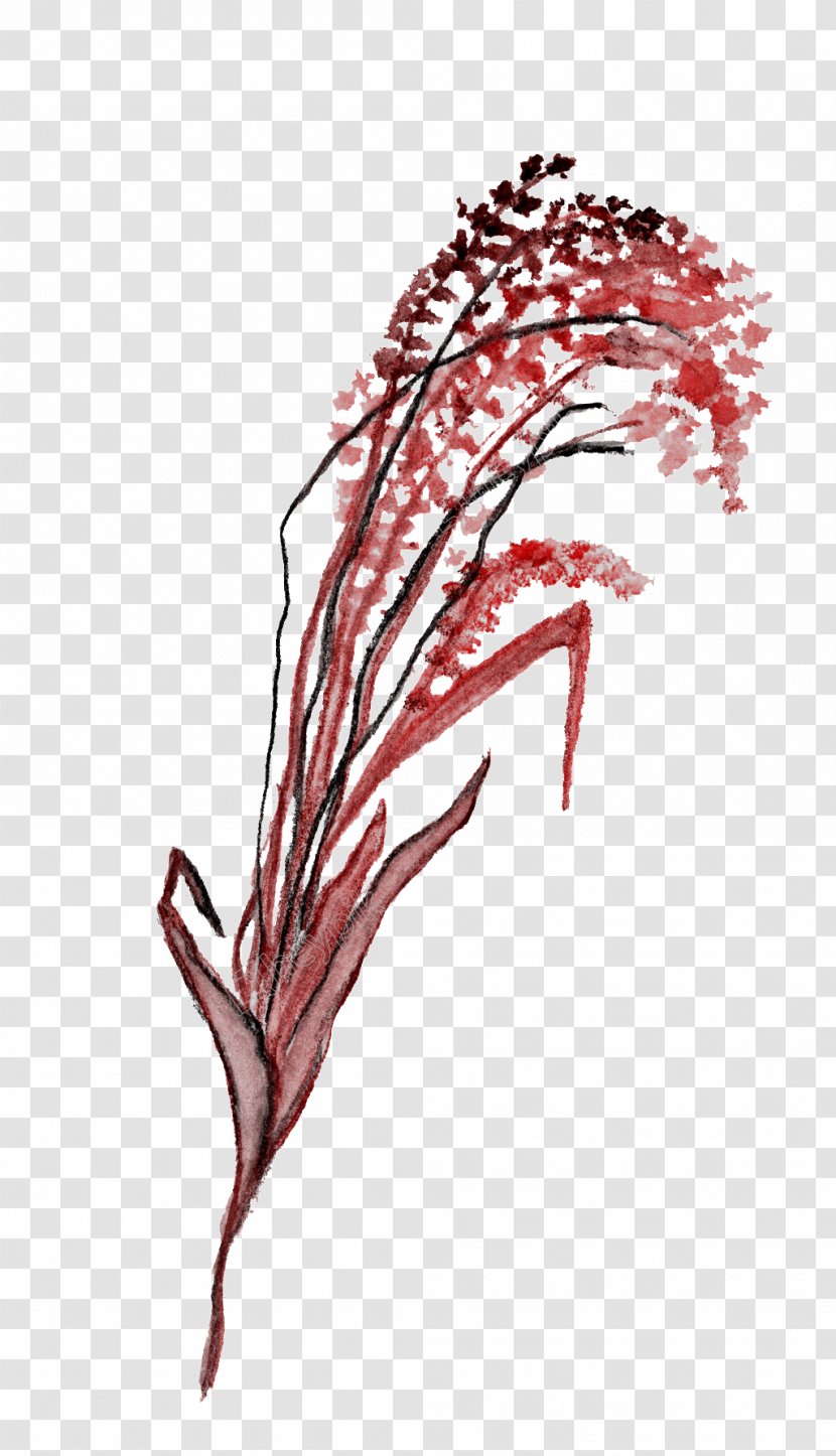 Black Image Red Download - Leaf - Silk Flowering Branches Transparent PNG
