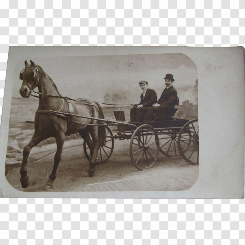 Horse And Buggy Harnesses Coachman Rein - Like Mammal Transparent PNG