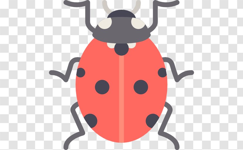 Ladybird Beetle - Mariquita Transparent PNG