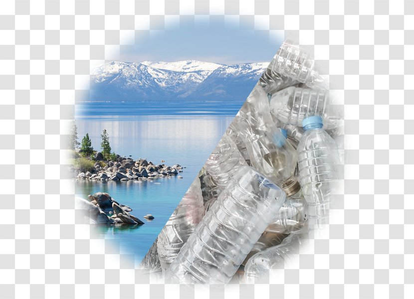Water Filter Plastic Bottle Lake Tahoe - Organism Transparent PNG