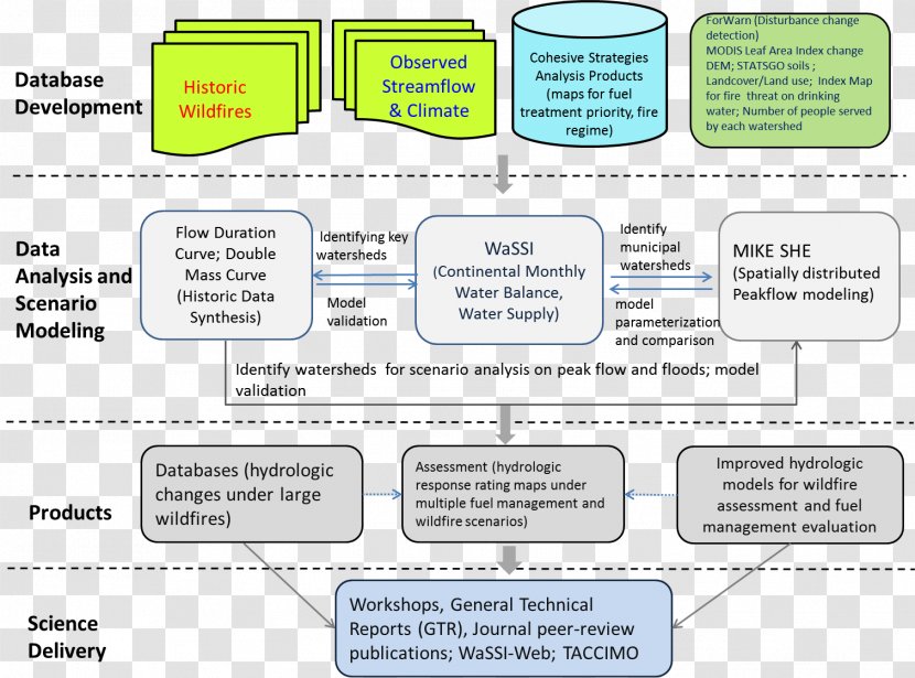 Document Line Organism - Diagram Transparent PNG