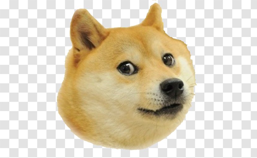 Shiba Inu Save The Doge Star Doge: Weird Game - Information Transparent PNG