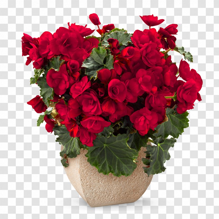Flower Bouquet Red Rose Floristry - Romance Transparent PNG