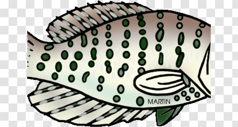 Fish Cartoon - Perch - Rayfinned Bonyfish Transparent PNG
