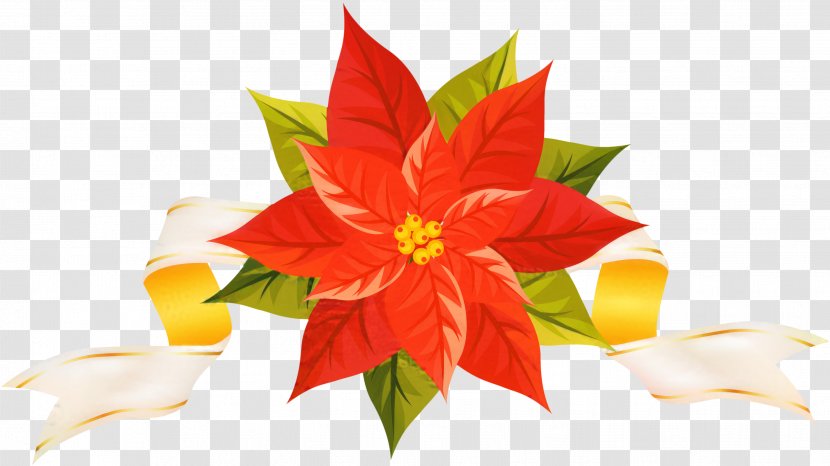 Christmas Poinsettia - Borders And Frames - Anthurium Petal Transparent PNG