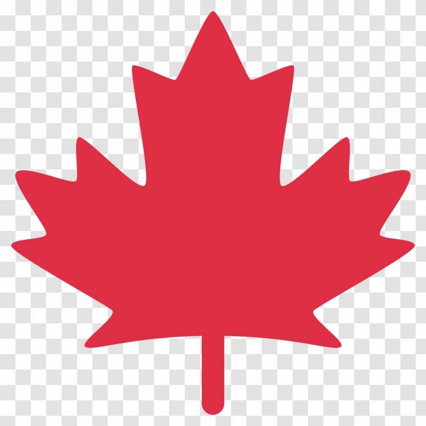 Flag Of Canada Maple Leaf Slovakia - Signo Vos - Vector Transparent PNG