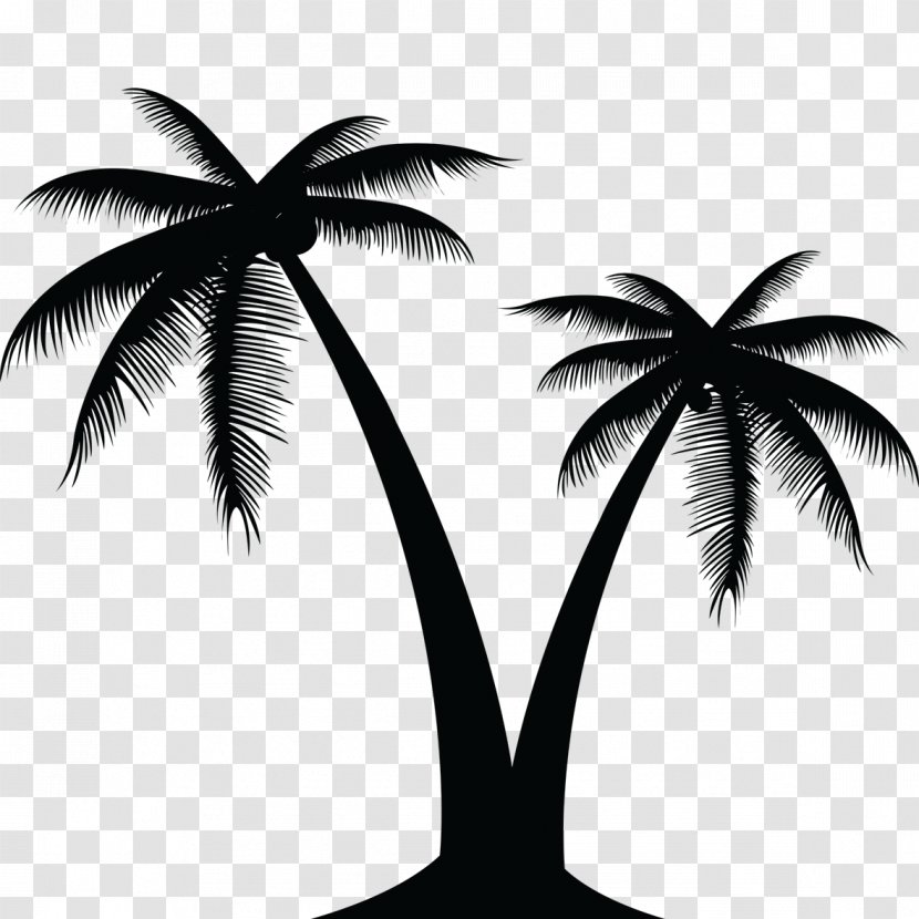 Arecaceae Tree Clip Art - Monochrome - Palm Leaves Transparent PNG