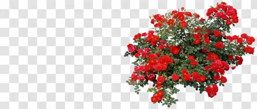 Rose Shrub Clip Art - Blue - More Transparent PNG