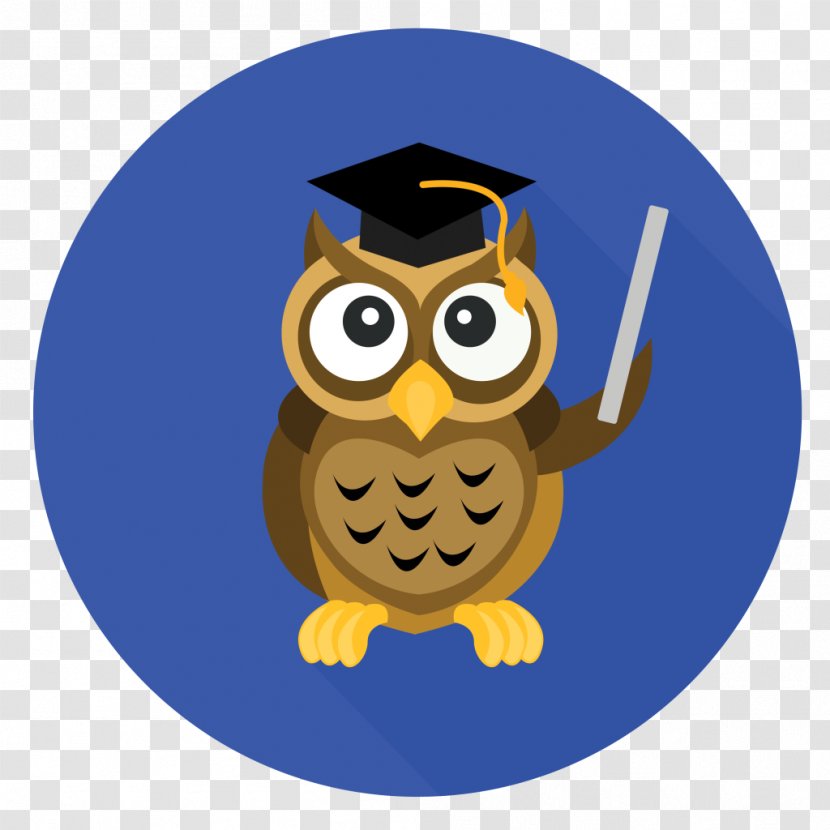 Owl Graduation Ceremony Education School Professional Development - Training Transparent PNG