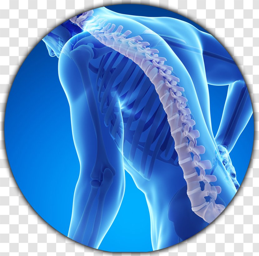 Osteoporosis Bone Fracture Disease Density Health Transparent PNG