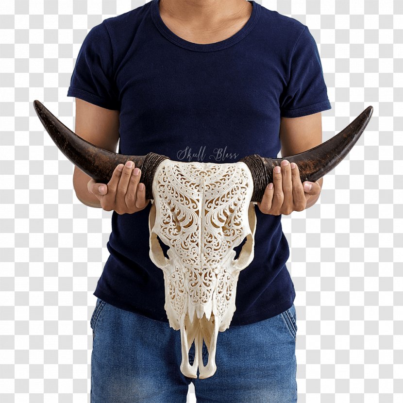 Horn Cattle Skull Orbit Bone - Itsourtreecom Transparent PNG
