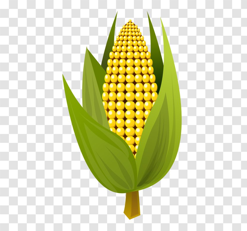 Corn On The Cob Maize Ear Clip Art - Royaltyfree - Sweet Transparent PNG