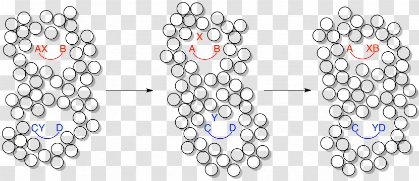 Cage Effect Wikimedia Commons - Chemistry - Jump Transparent PNG