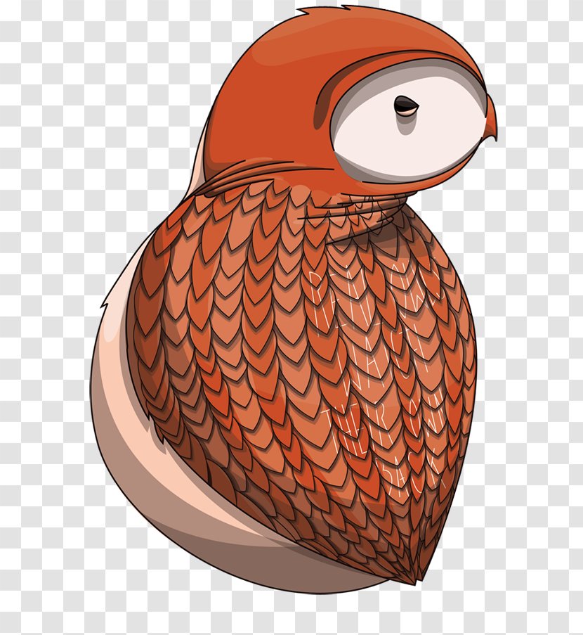 Owl Product Design Illustration Beak Transparent PNG