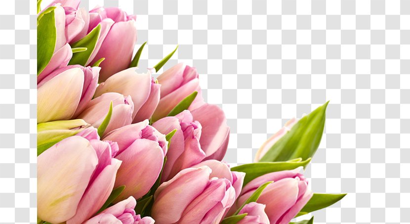 Flower 1080p High-definition Video Television Wallpaper - Flowering Plant - Tulip Bouquet Transparent PNG