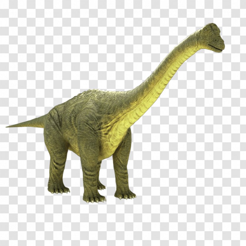 Apatosaurus Brontosaurus Tyrannosaurus Brachiosaurus Jurassic World Evolution - Organism - Dinosaur Transparent PNG