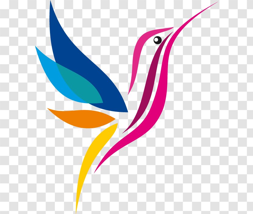 Hummingbird Logo Drawing - Artwork - Beak Transparent PNG